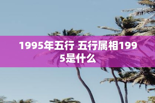 1995年五行 五行属相1995是什么