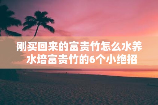 刚买回来的富贵竹怎么水养 水培富贵竹的6个小绝招
