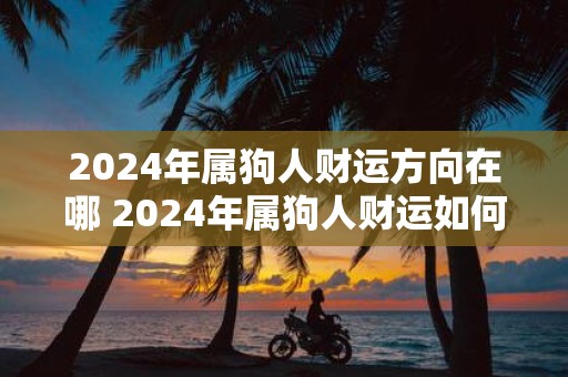 2025年属狗人财运方向在哪 2025年属狗人财运如何