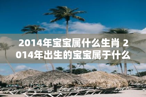 2014年宝宝属什么生肖 2014年出生的宝宝属于什么生肖