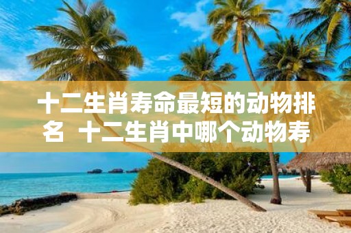 十二生肖寿命最短的动物排名 十二生肖中哪个动物寿命最长