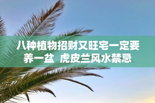 八种植物招财又旺宅一定要养一盆 虎皮兰风水禁忌