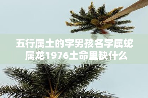 五行属土的字男孩名字属蛇 属龙1976土命里缺什么