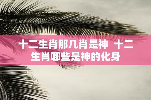 十二生肖那几肖是神 十二生肖哪些是神的化身