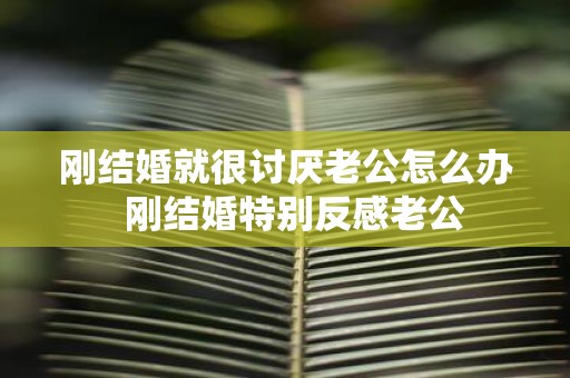 刚结婚就很讨厌老公怎么办 刚结婚特别反感老公