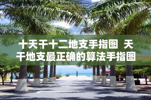 十天干十二地支手指图 天干地支最正确的算法手指图