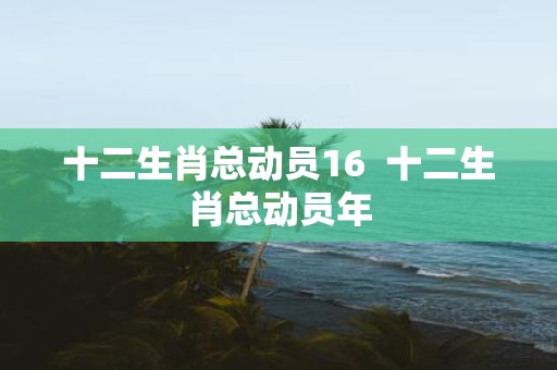 十二生肖总动员16 十二生肖总动员年