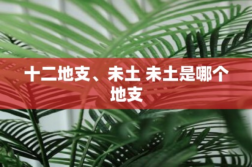十二地支、未土 未土是哪个地支