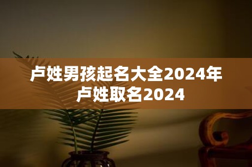 卢姓男孩起名大全2025年 卢姓取名2025