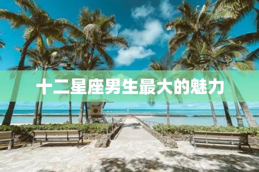 十二星座男生最大的魅力