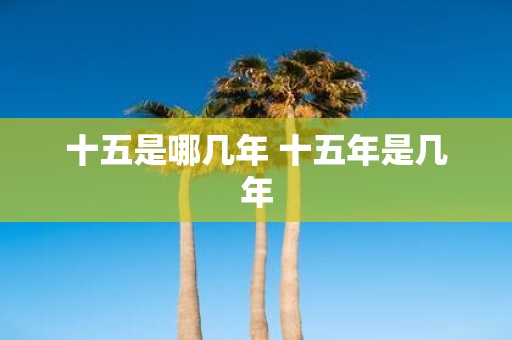 十五是哪几年 十五年是几年