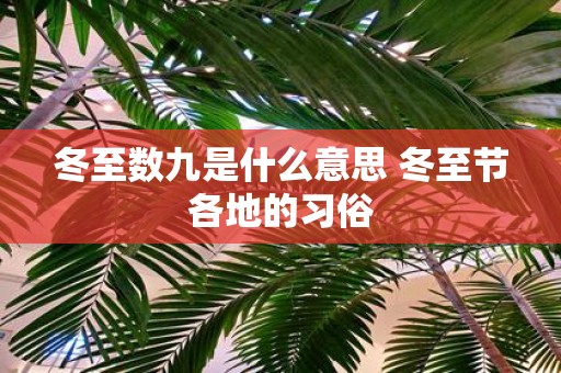 冬至数九是什么意思 冬至节各地的习俗