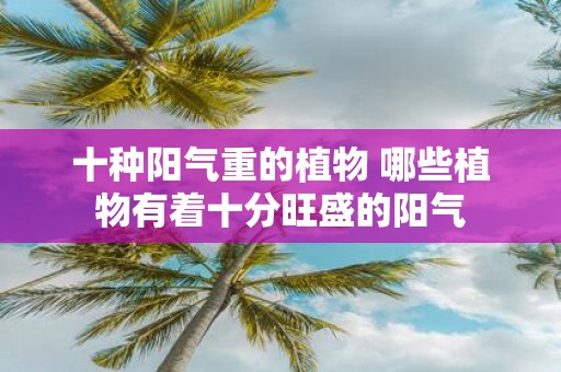 十种阳气重的植物 哪些植物有着十分旺盛的阳气