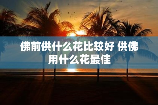 佛前供什么花比较好 供佛用什么花最佳