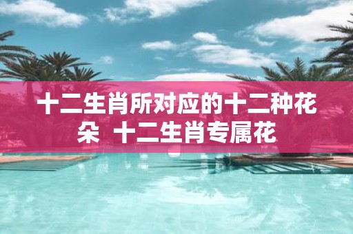 十二生肖所对应的十二种花朵 十二生肖专属花
