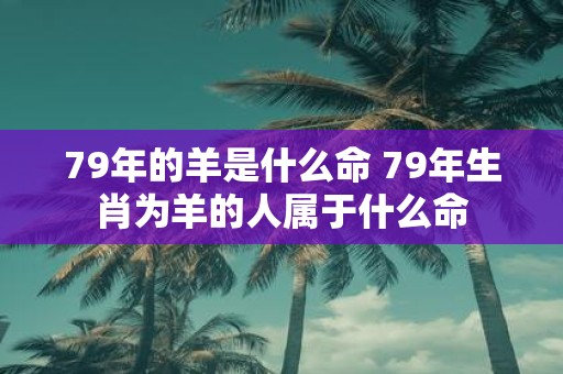 79年的羊是什么命 79年生肖为羊的人属于什么命