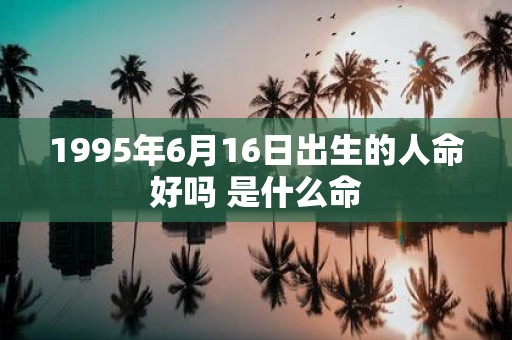 1995年6月16日出生的人命好吗 是什么命