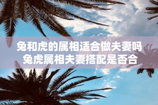 兔和虎的属相适合做夫妻吗 兔虎属相夫妻搭配是否合适