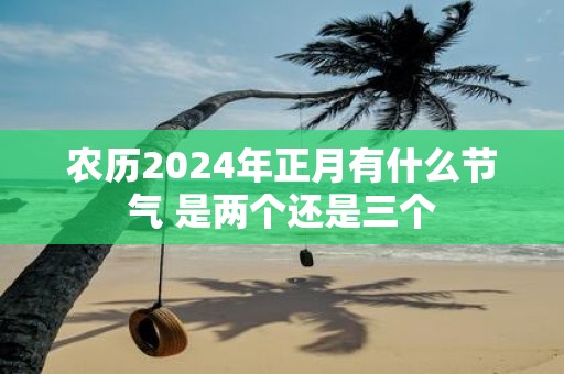 农历2025年正月有什么节气 是两个还是三个