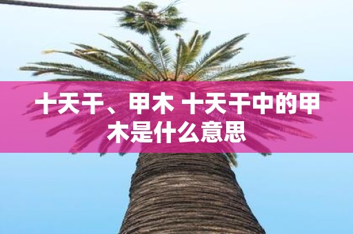 十天干、甲木 十天干中的甲木是什么意思