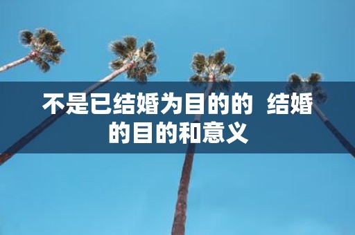 不是已结婚为目的的 结婚的目的和意义