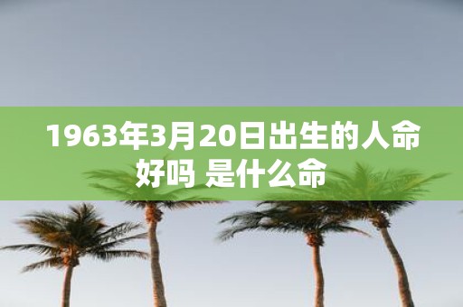 1963年3月20日出生的人命好吗 是什么命