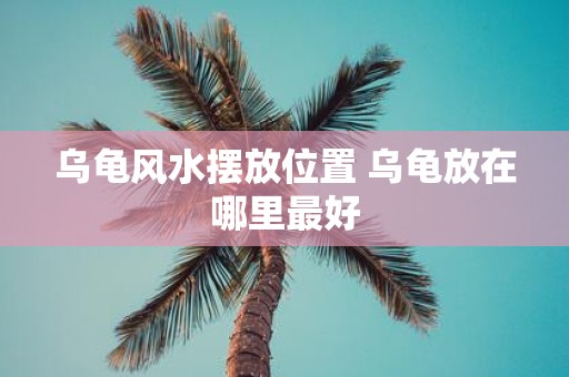 乌龟风水摆放位置 乌龟放在哪里最好
