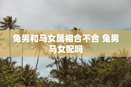 兔男和马女属相合不合 兔男马女配吗