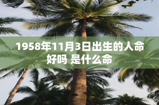 1958年11月3日出生的人命好吗 是什么命