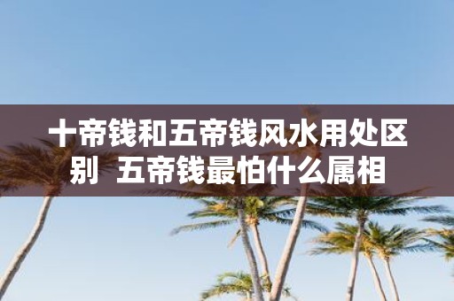 十帝钱和五帝钱风水用处区别 五帝钱最怕什么属相