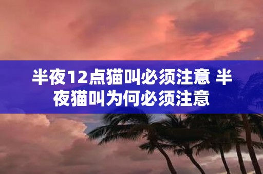 半夜12点猫叫必须注意 半夜猫叫为何必须注意