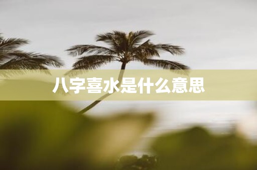 八字喜水是什么意思