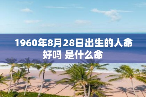 1960年8月28日出生的人命好吗 是什么命