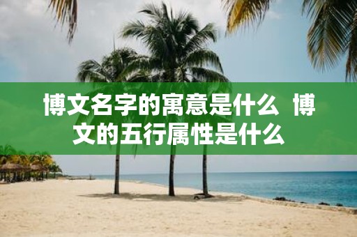博文名字的寓意是什么 博文的五行属性是什么