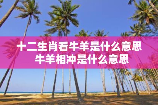 十二生肖看牛羊是什么意思 牛羊相冲是什么意思
