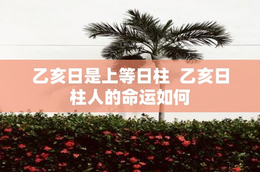 乙亥日是上等日柱 乙亥日柱人的命运如何