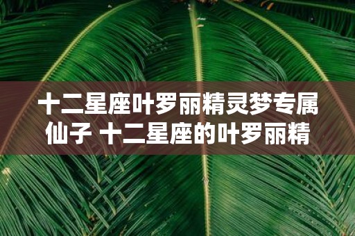 十二星座叶罗丽精灵梦专属仙子 十二星座的叶罗丽精灵梦中仙子是什么
