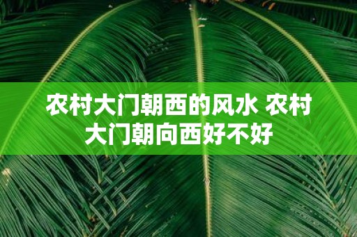 农村大门朝西的风水 农村大门朝向西好不好