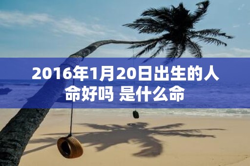 2016年1月20日出生的人命好吗 是什么命