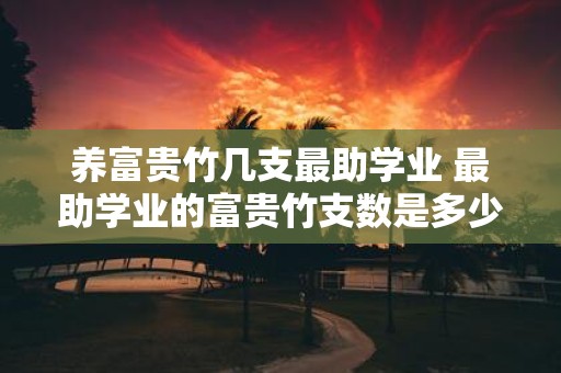 养富贵竹几支最助学业 最助学业的富贵竹支数是多少