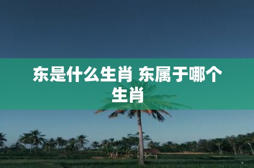 东是什么生肖 东属于哪个生肖