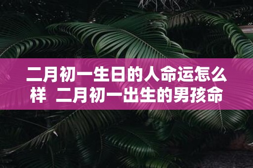 二月初一生日的人命运怎么样 二月初一出生的男孩命运坎坷