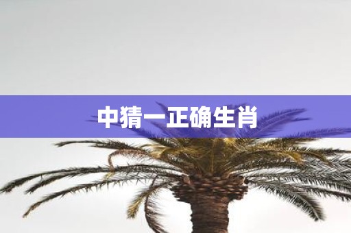 中猜一正确生肖