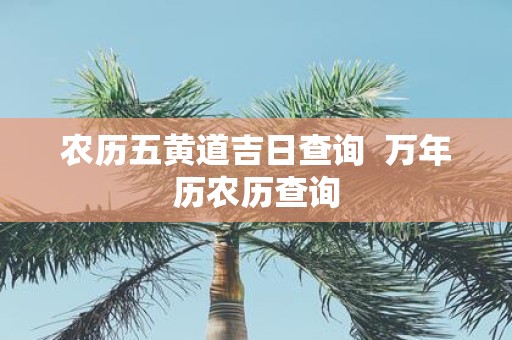农历五黄道吉日查询 万年历农历查询