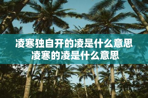 凌寒独自开的凌是什么意思 凌寒的凌是什么意思