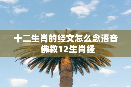 十二生肖的经文怎么念语音 佛教12生肖经