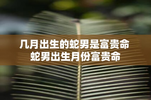 几月出生的蛇男是富贵命 蛇男出生月份富贵命