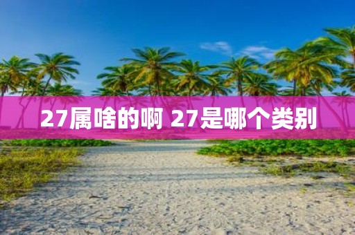 27属啥的啊 27是哪个类别