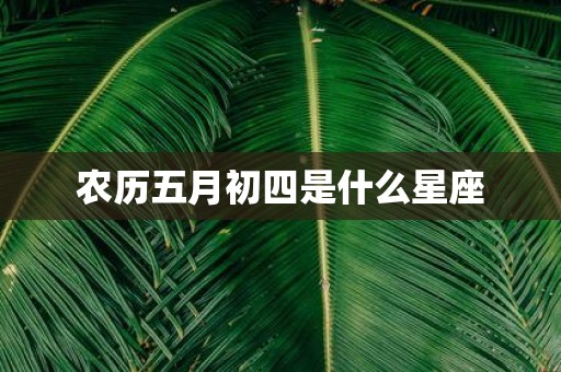 农历五月初四是什么星座