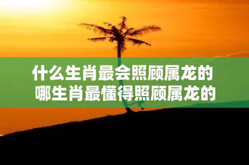 什么生肖最会照顾属龙的 哪生肖最懂得照顾属龙的